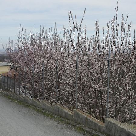 مبيت وإفطار Bagnolo Piemonte Agriturismo Ai Pruesot المظهر الخارجي الصورة